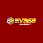 Sv368 Profile Picture