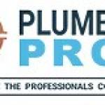 Plumbing Pros Profile Picture