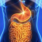 nik shah Profile Picture