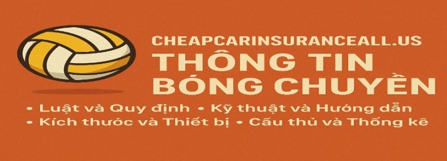 Cheapcarinsuranceall us Cover Image