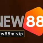 Nhà Đài New88 Profile Picture