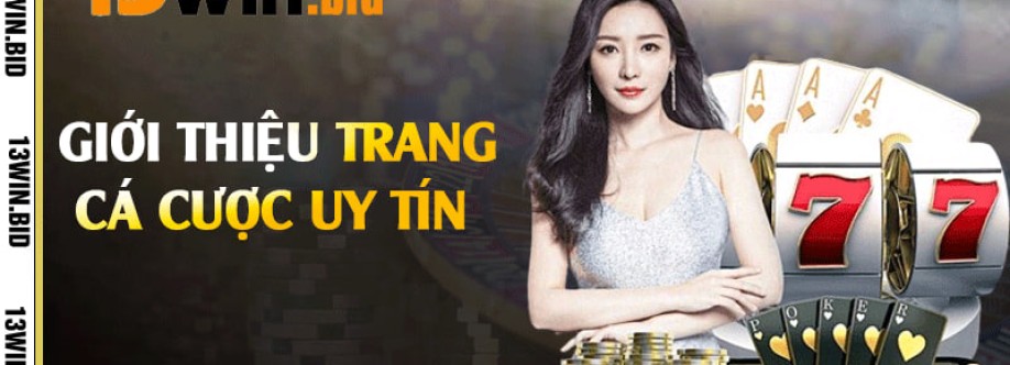 13win bid Cover Image