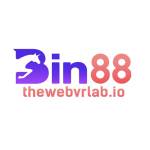 BIN88 Profile Picture