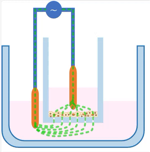 Top Use Cases of an Automated TEER Measurement System in Drug Discovery - Latest News