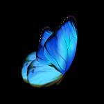 Zoltán Pásztor Profile Picture