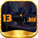 13win bid Profile Picture