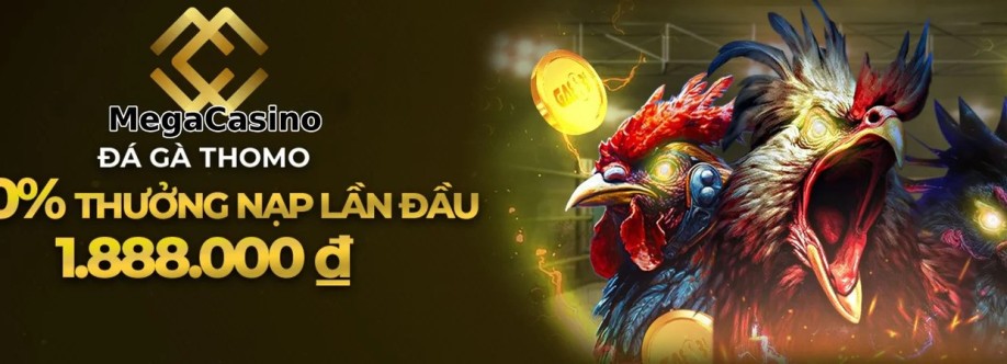 Mega Casino Cover Image