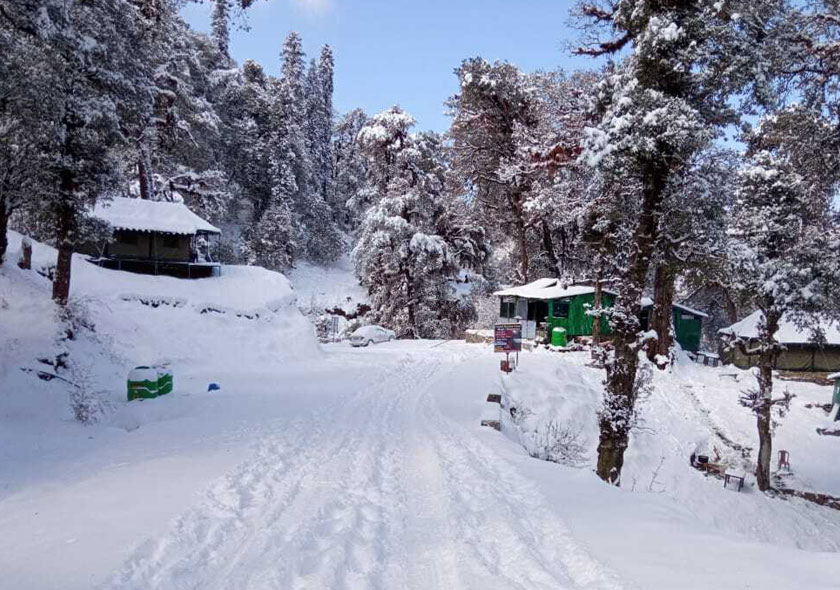 Camps in Chopta | Trekking Camps In Chopta | Camping in Chopta | Woodycamps