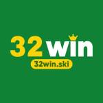 32WIN SKI Profile Picture