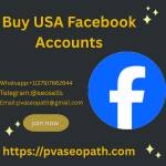 Buy USA Facebook Accounts