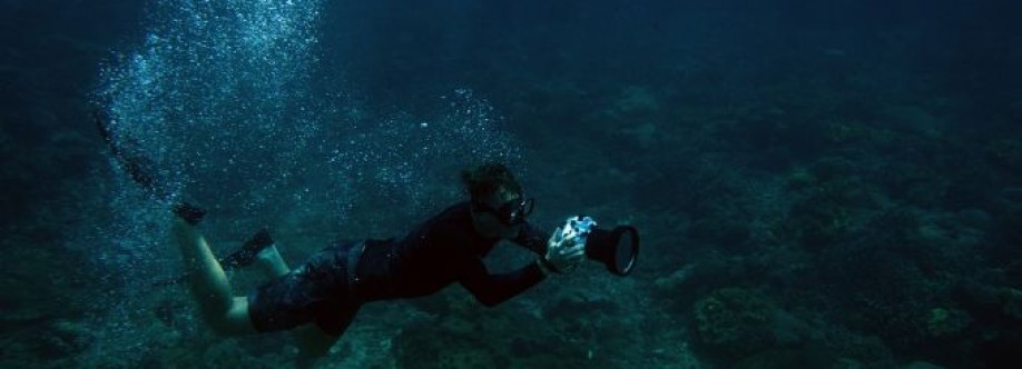 Petro Divers Cover Image