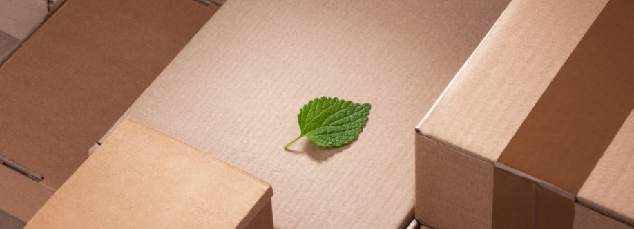 Racer Boxes Cover Image