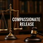 Compassionate Release Profile Picture