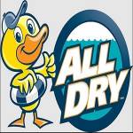 All Dry Services of Seattle Profile Picture