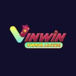 VINWIN VINWIN Profile Picture