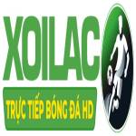 festivalforthefuture co scam Profile Picture