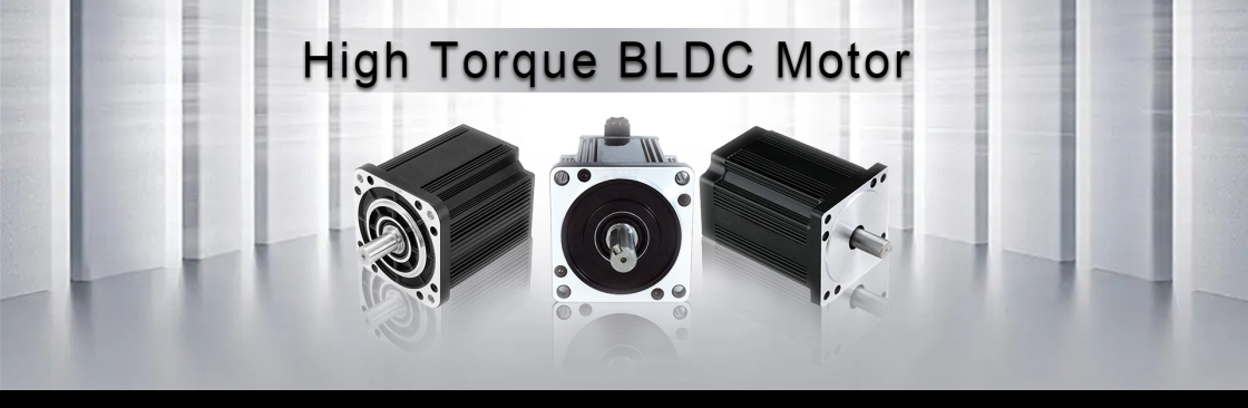 12V Brushless DC Motor Supplier Cover Image