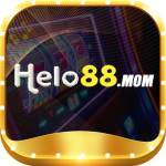 helo88 mom Profile Picture