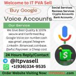 Google Voice Accounts Profile Picture