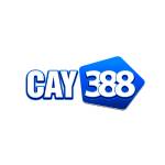 CAY388 Profile Picture