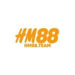 hm88 team Profile Picture