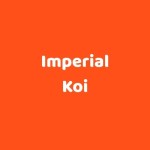 Imperial Koi Profile Picture