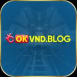 okvnd blog Profile Picture