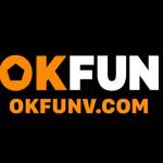 OKFUN VCOM Profile Picture