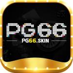 pg66 skin Profile Picture
