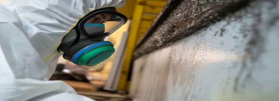 All Dry Services of Seattle Cover Image