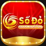 sodo boston Profile Picture
