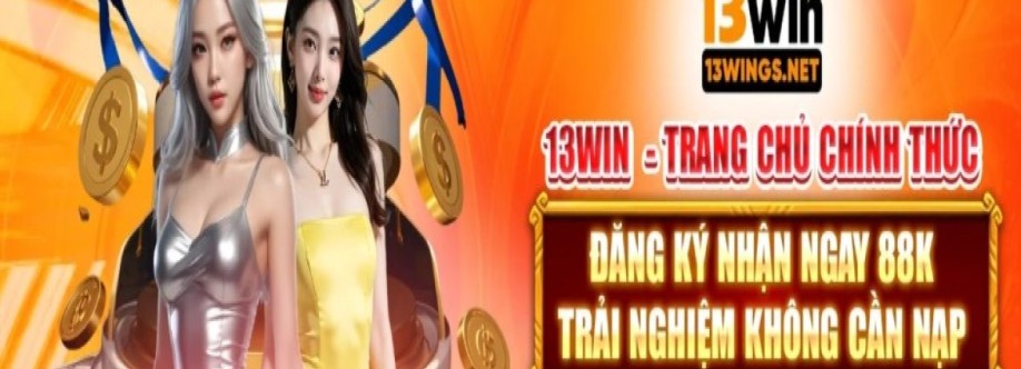 13win111 Cover Image