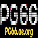 PG66 Profile Picture