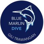 Blue Marlin Dive Gili Trawangan Profile Picture