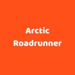 Arctic Roadrunner Profile Picture