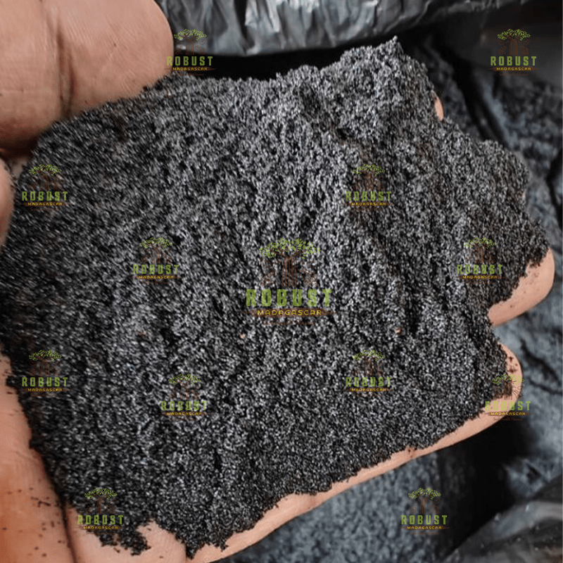 Wholesale Vanilla Seeds Manufacturer, Exporter, and Supplier