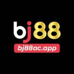 Bj88 Profile Picture