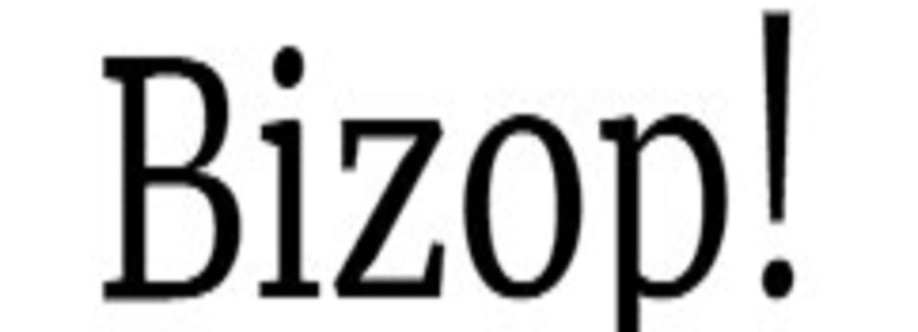 Bizop Org Cover Image