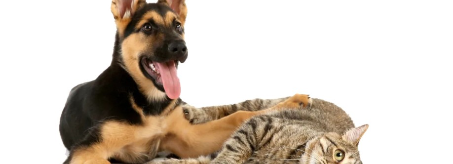 Lincoln Ave Cat  Dog Hospital Cover Image