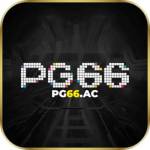 Pg66 Ac Profile Picture