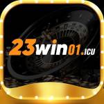 23win01 icu Profile Picture