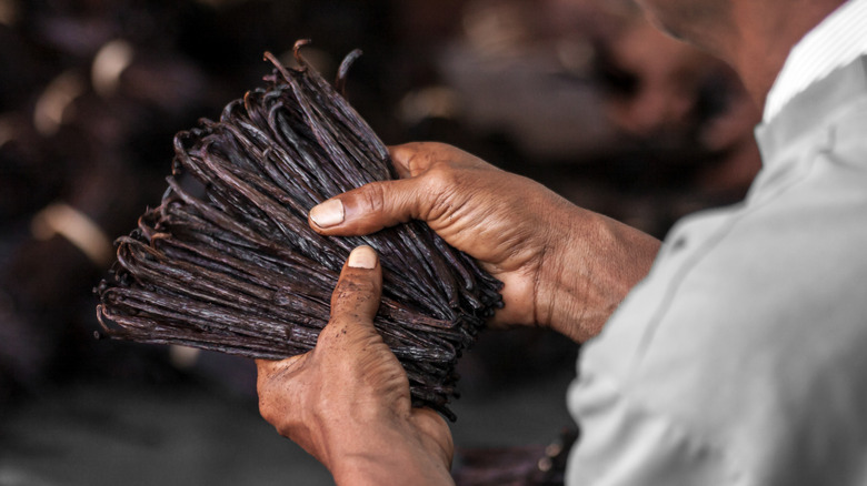 Madagascar Bourbon Vanilla Beans: Premium Quality for Global Trade: spicesexporter — LiveJournal