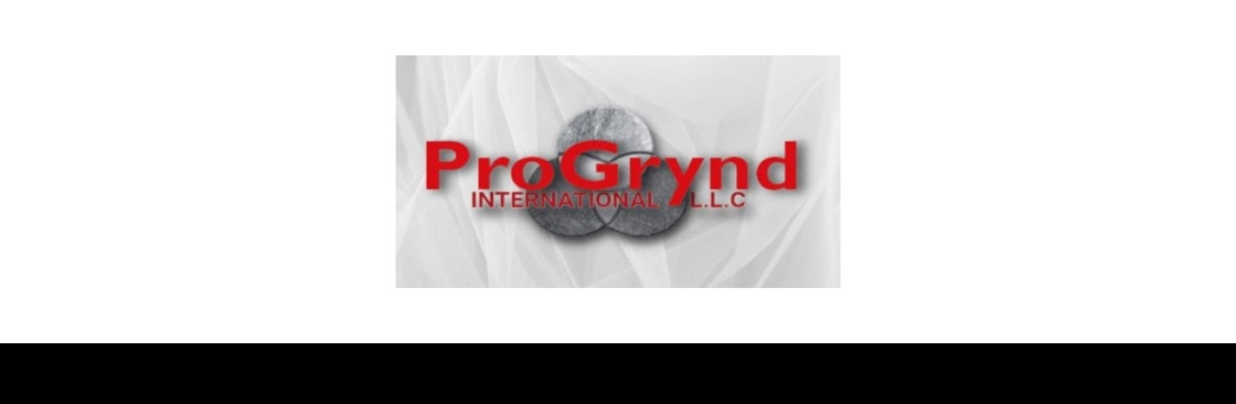 Progrynd LLC Cover Image