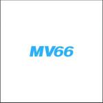 Mv66 boats Profile Picture