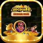 xocdia88 wang Profile Picture