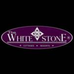 Prashant Choudhary Profile Picture