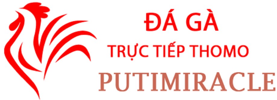 Đá Gà Trực Tiếp Thomo Cover Image