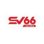 SV66 ORG Profile Picture