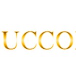 tuccobet giriş Profile Picture