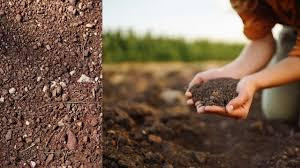 How Screened Loam Supports Healthy Soil and Thriving Landscapes - JustPaste.it